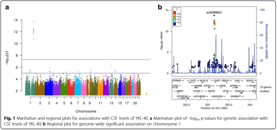 Manhattan plots of variants impacting CSF levels of YKL-40 showing significant locus on Chromosome 1. Zoomed plot shows rs10399931 with most significant p-value.