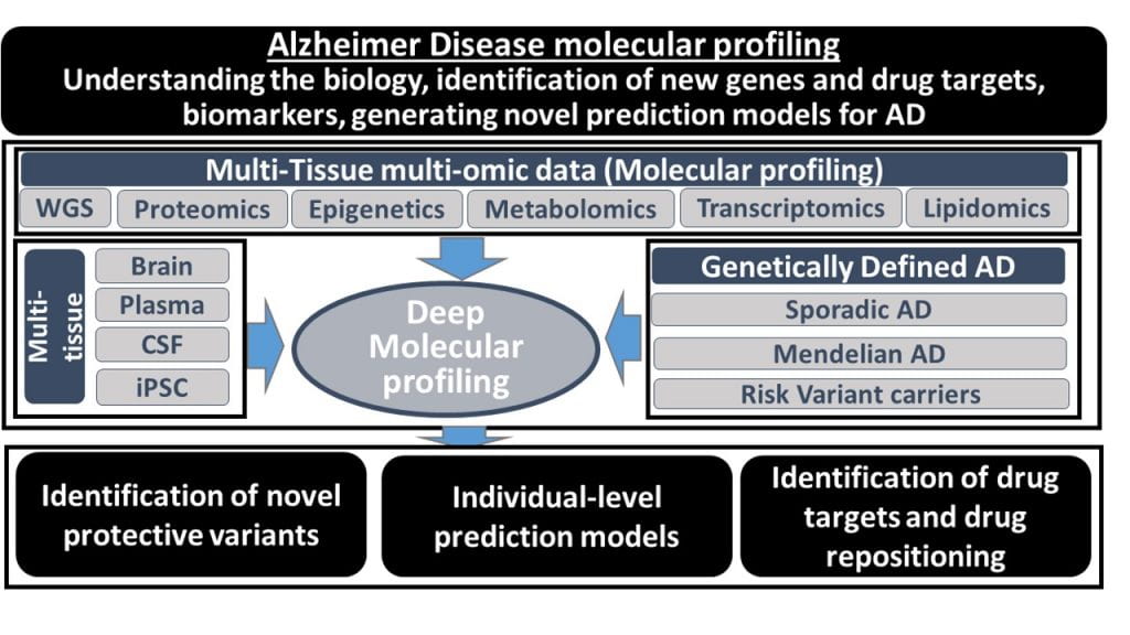 Flow chart of the lab's processes for Alzheimer disease molecular phenotyping to better understand AD biology; identify new genes, drug targets, and biomarkers; and generate novel prediction models for AD.
We combine multi-tissue, multi-comic data, such as WGS, proteomics, epigenetic, metabolomics, transcriptomics, and lipidomics with multiple tissues (brain, plasma, csf, and iPSCs) from genetically defined Alzheimer disease cases (sporadic AD, mendelian AD, and risk variant carriers). We use deep molecular profiling analyze the data and to identify novel risk and protective variants, generate individual-level prediction models, and identify drug targets and drugs for repositioning.